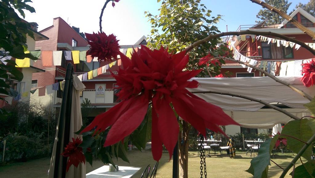 Rokpa Guest House Κατμαντού Εξωτερικό φωτογραφία